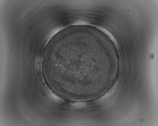 X0000100351337200806130943