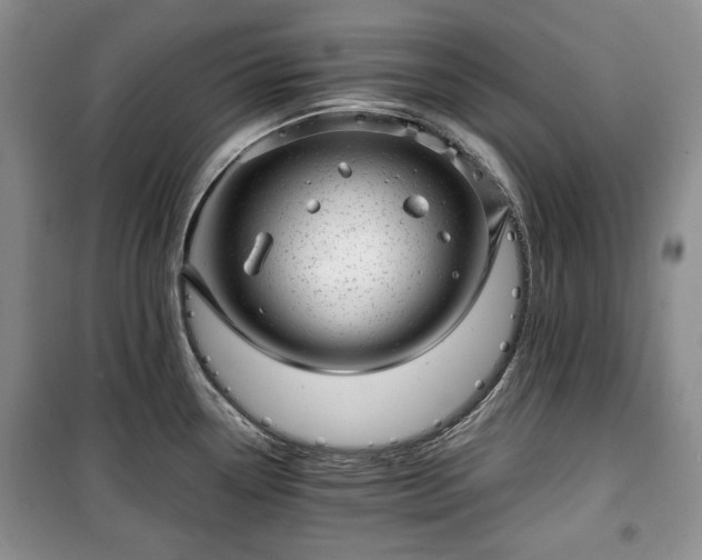 X0000100351338200806130943