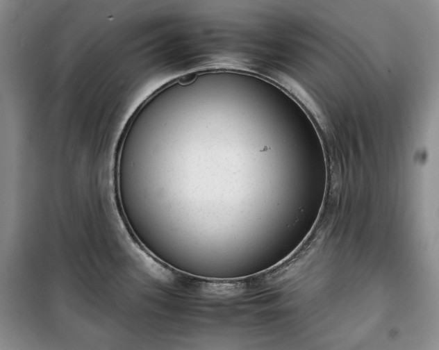 X0000100351339200806130943