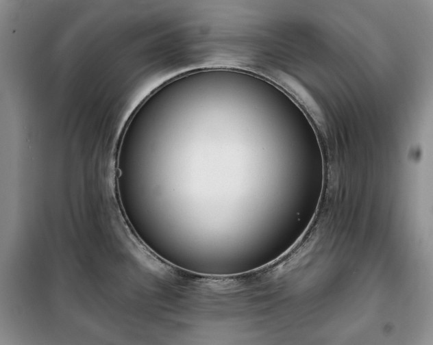 X0000100351340200806130943