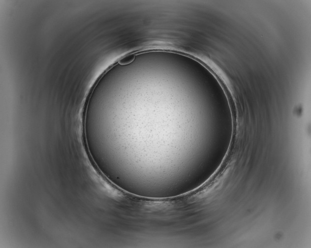 X0000100351341200806130943