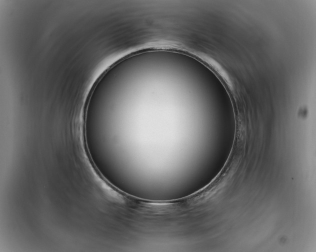 X0000100351343200806130943
