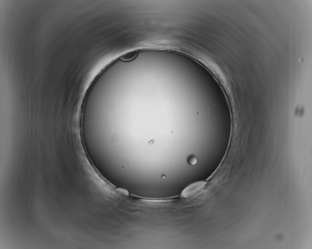 X0000100351344200806130943