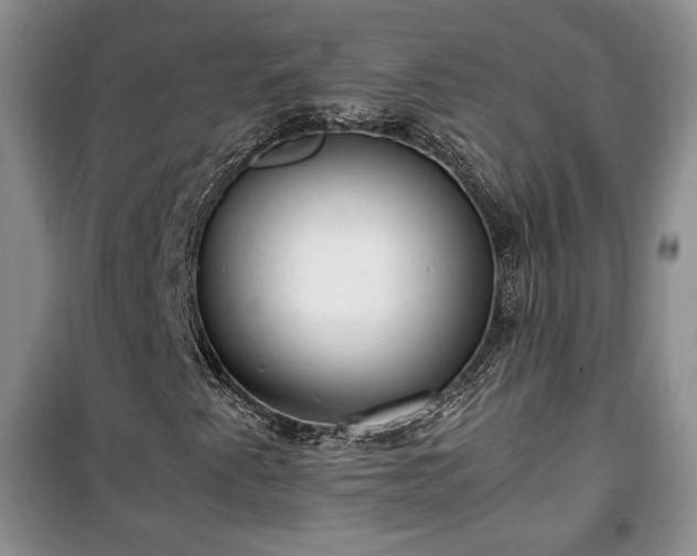 X0000100351345200806130943
