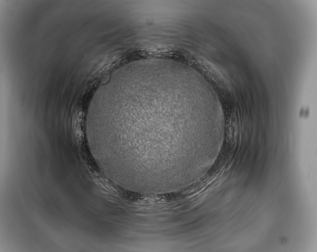 X0000100351346200806130943