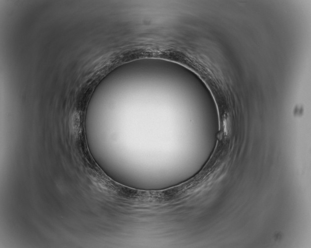 X0000100351347200806130943