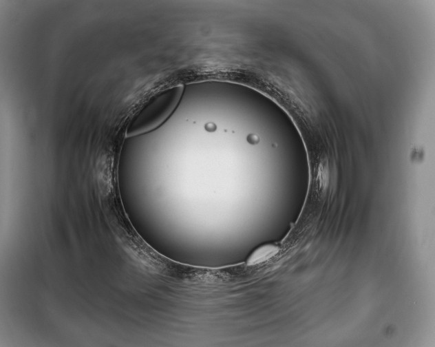 X0000100351348200806130943
