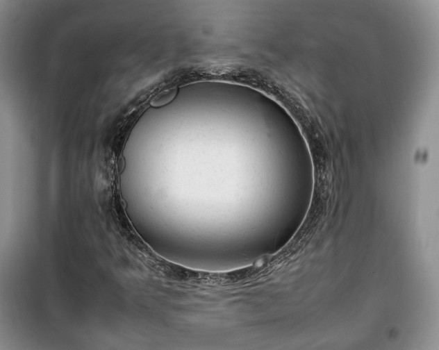 X0000100351349200806130943