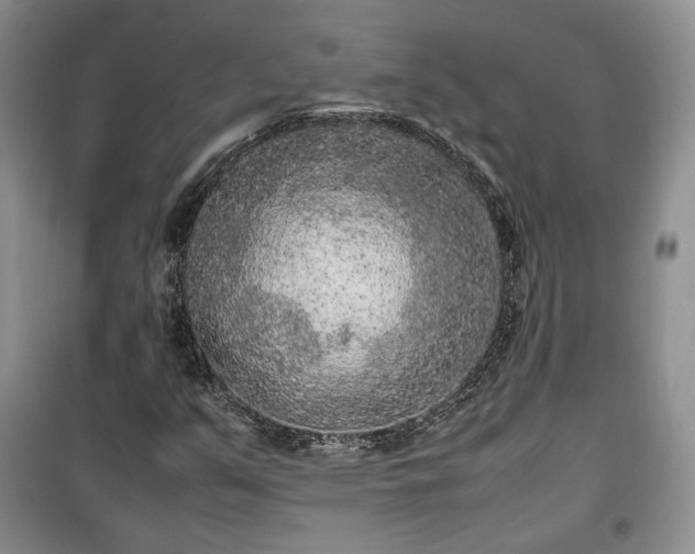 X0000100351351200806130943
