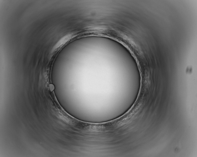 X0000100351354200806130943