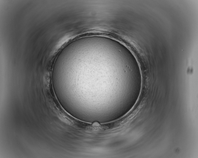 X0000100351355200806130943