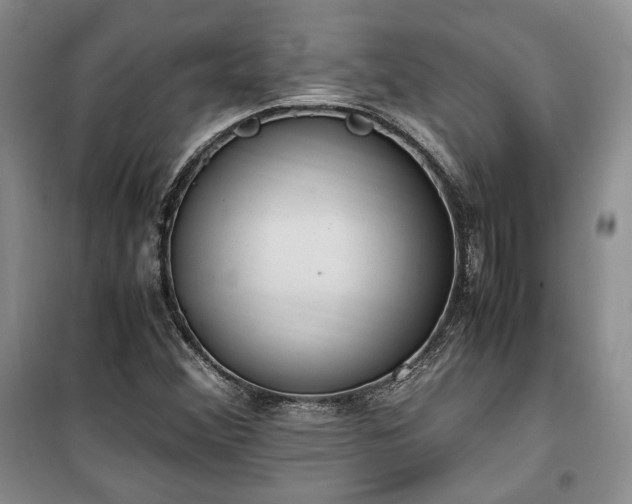 X0000100351356200806130943