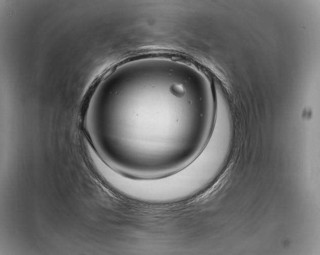 X0000100351357200806130943