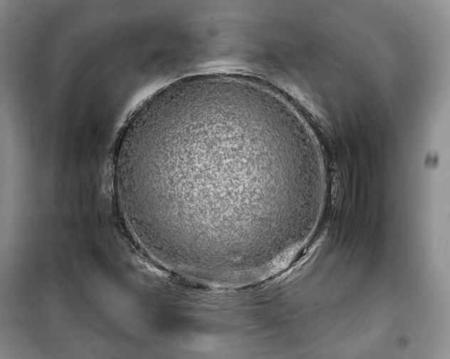 X0000100351358200806130943