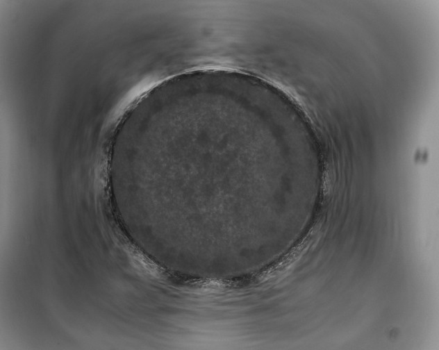 X0000100351359200806130943