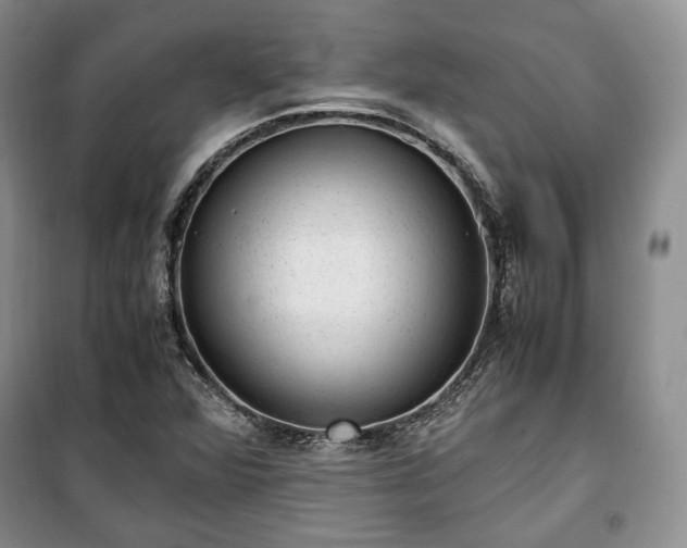 X0000100351360200806130943