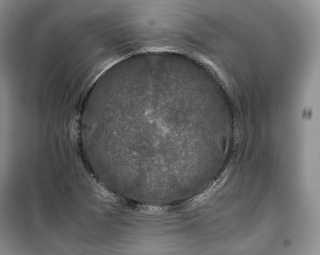 X0000100351361200806130943