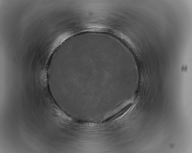 X0000100351362200806130943