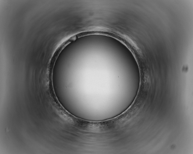 X0000100351364200806130943