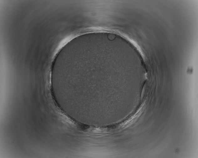 X0000100351365200806130943