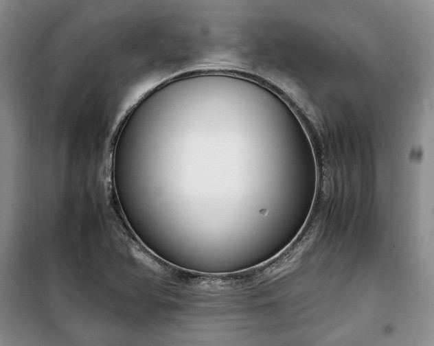 X0000100351366200806130943
