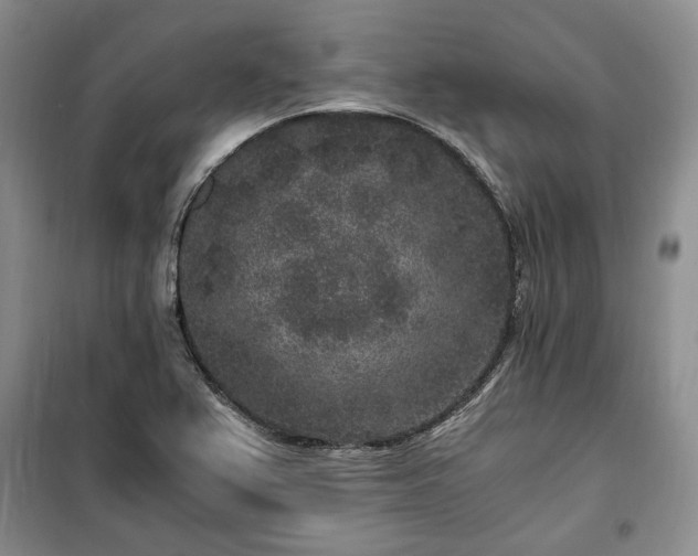 X0000100351367200806130943