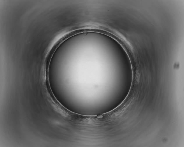 X0000100351368200806130943