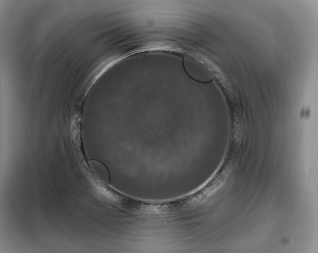 X0000100351369200806130942