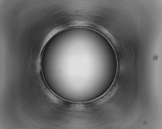 X0000100351370200806130942