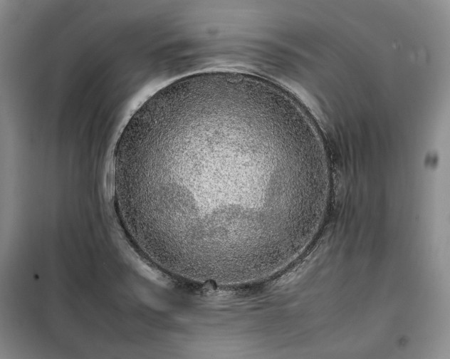 X0000100351371200806130942