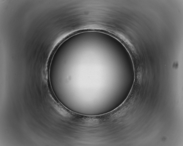X0000100351372200806130942