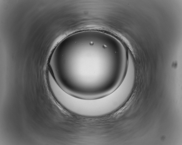 X0000100351373200806130942