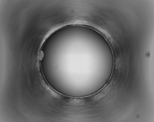 X0000100351374200806130942
