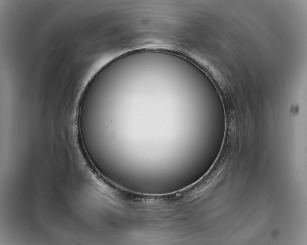 X0000100351375200806130942