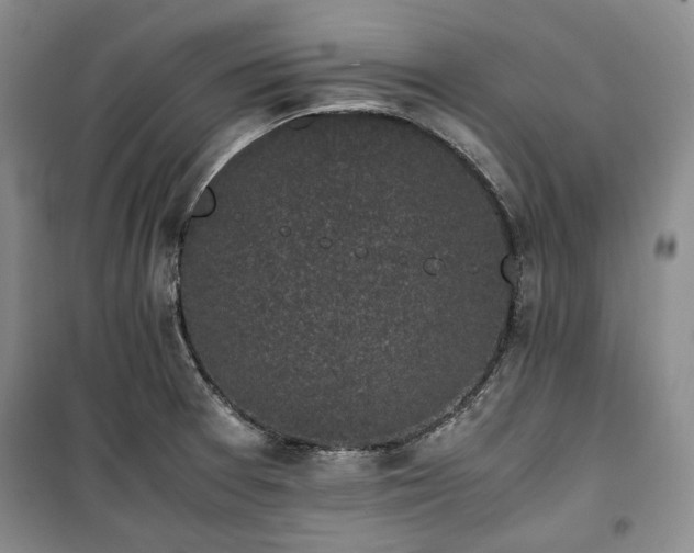 X0000100351377200806130942