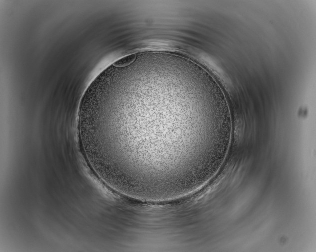 X0000100351378200806130942