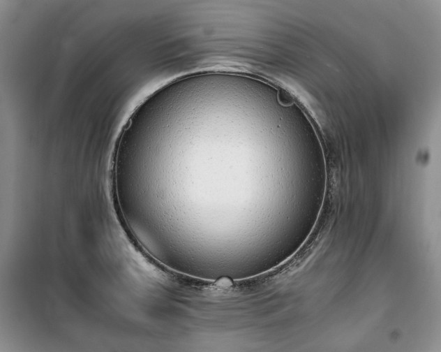 X0000100351379200806130942