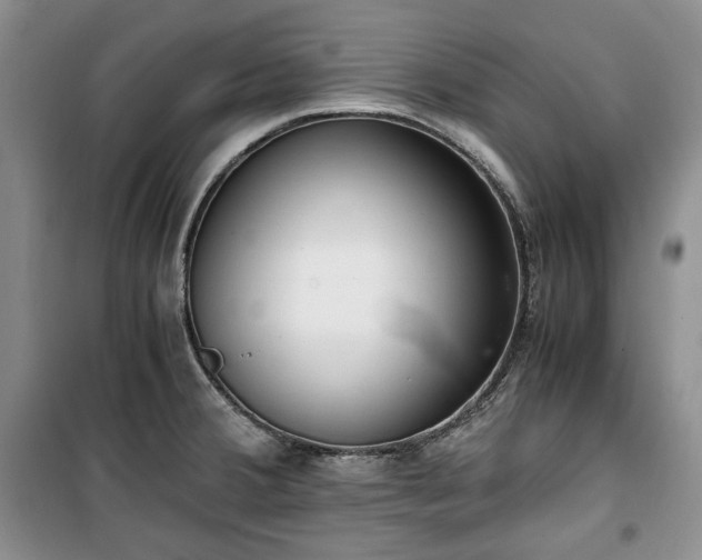 X0000100351380200806130942