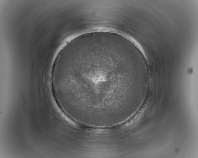 X0000100351381200806130942