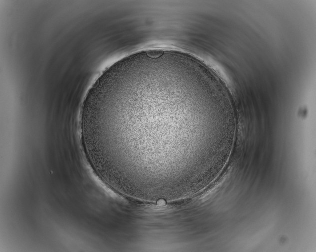 X0000100351382200806130942