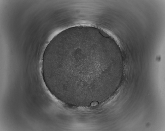 X0000100351383200806130942
