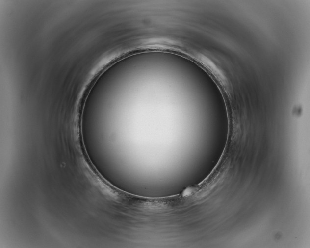 X0000100351384200806130942