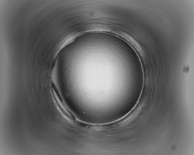 X0000100351385200806130942