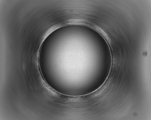 X0000100351386200806130942