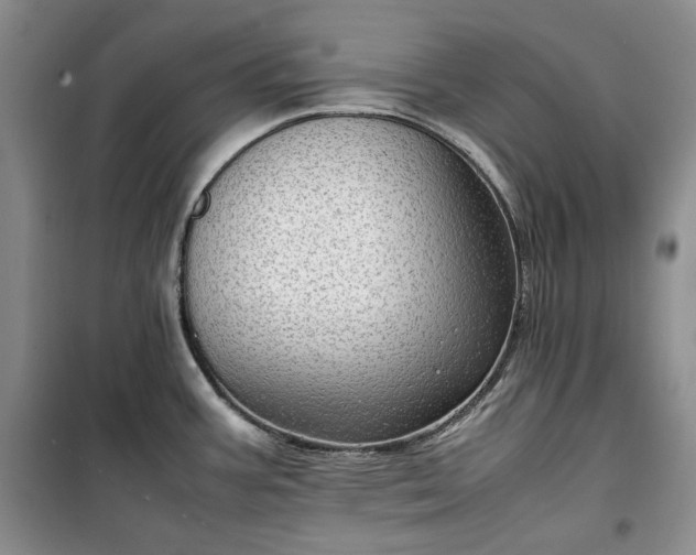 X0000100351387200806130942