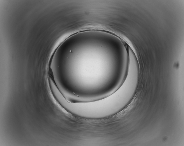 X0000100351389200806130942