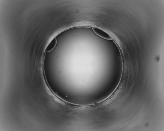 X0000100351390200806130942
