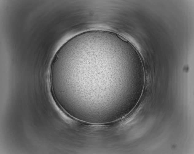 X0000100351391200806130942