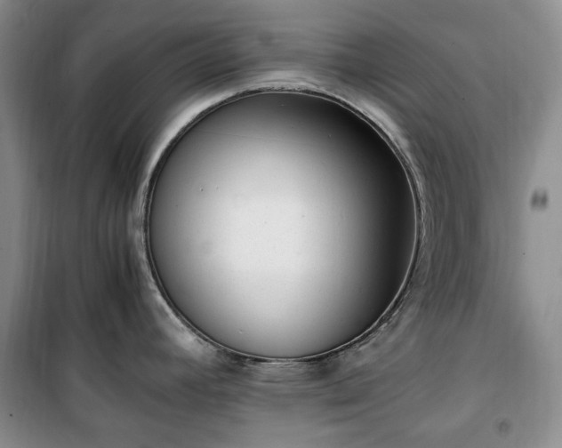 X0000100351392200806130942