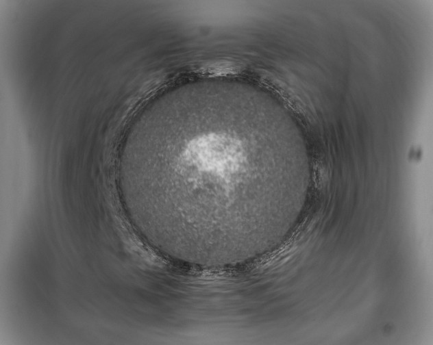 X0000100351393200806130942